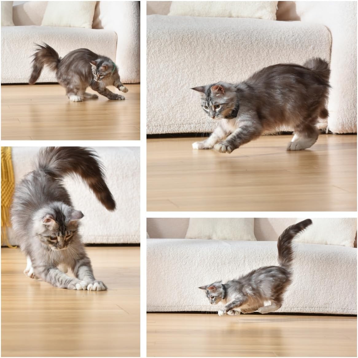 Laser Pointer Collar for Happy Cats