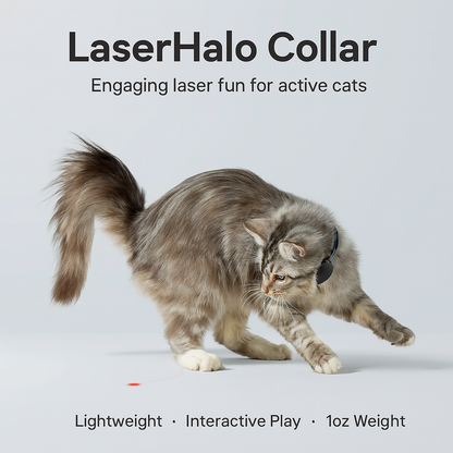 LaserHalo Collar image 1